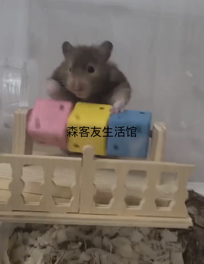 仓鼠趣味魔方用品玩具躲避窝金丝熊磨牙套装木质小宠专用生活用品