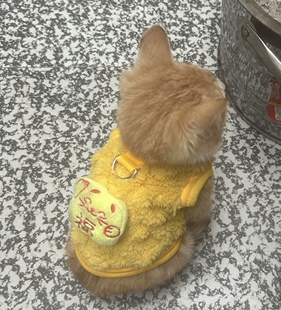 新款宠物衣服秋冬比熊约克夏加绒马年刺绣拜年服狗狗猫咪过年喜庆