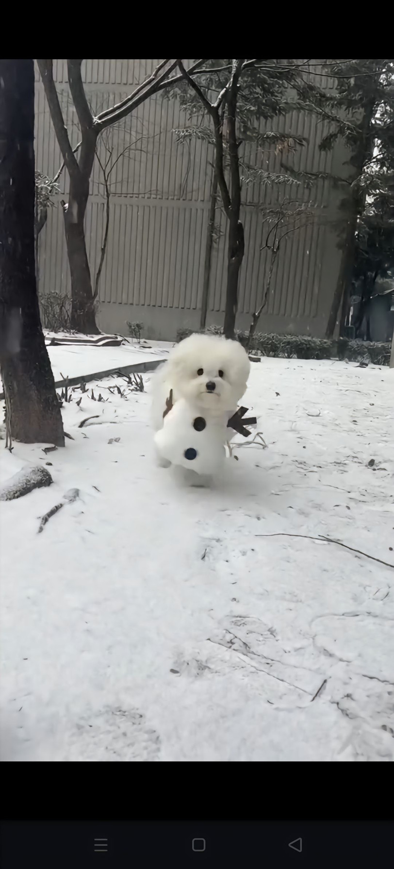 狗狗衣服可爱小雪人变身装宠物比熊泰迪猫咪银渐层布偶衣服秋冬季