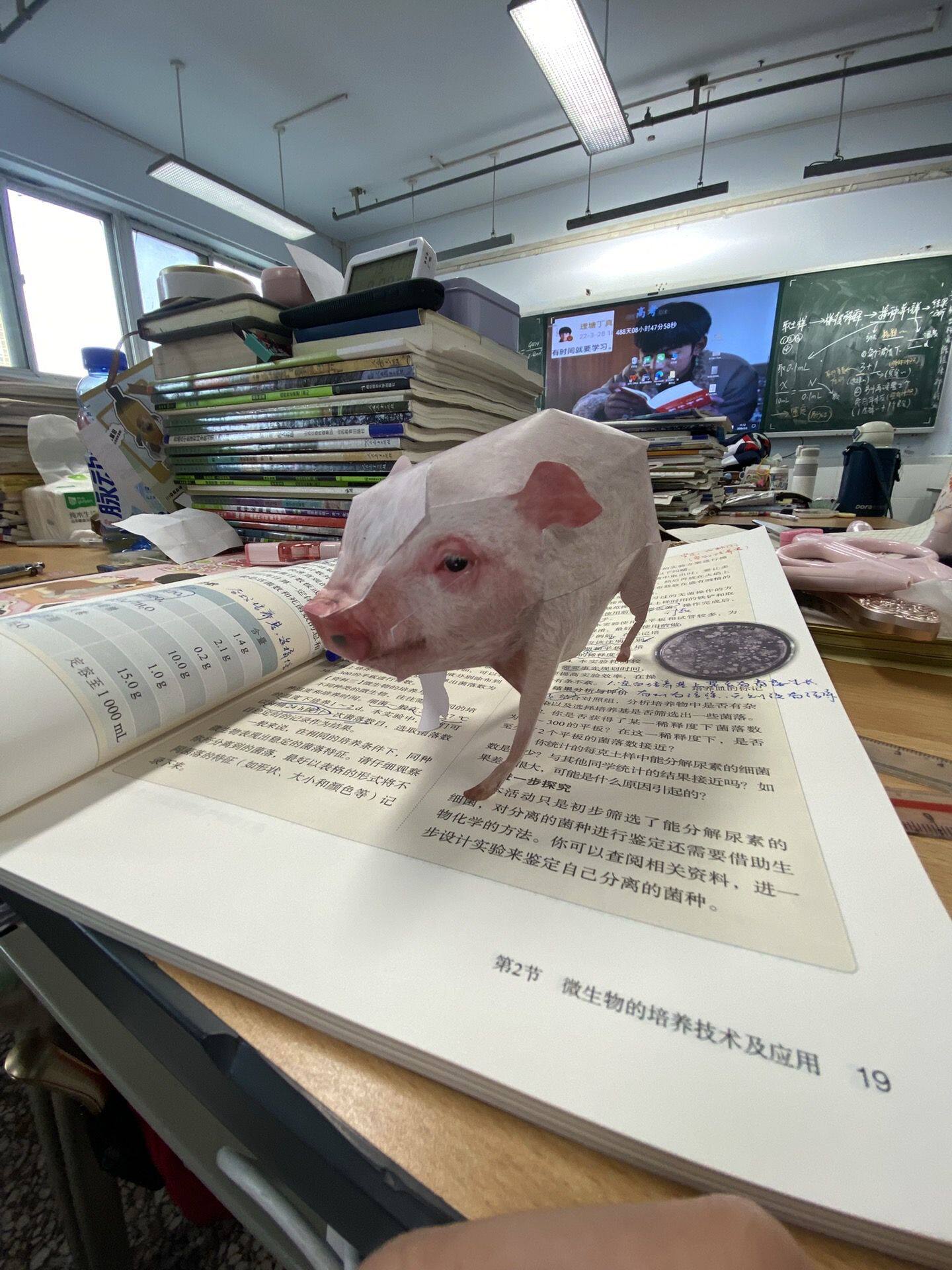 手工桌面纸偶立体折纸3D学生创意立体书超多可爱卡通动物DIY折纸