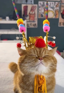 玉帝头饰帽子皇冠皇帝帽子大汉秦始皇头冠古代可爱搞笑西游记头饰