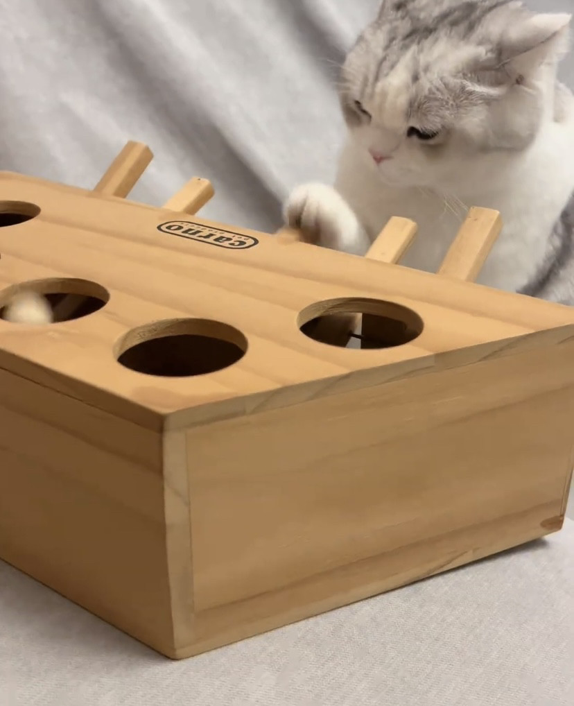 猫咪打地鼠玩具实木玩具休闲娱乐宠物打地鼠机逗猫棒