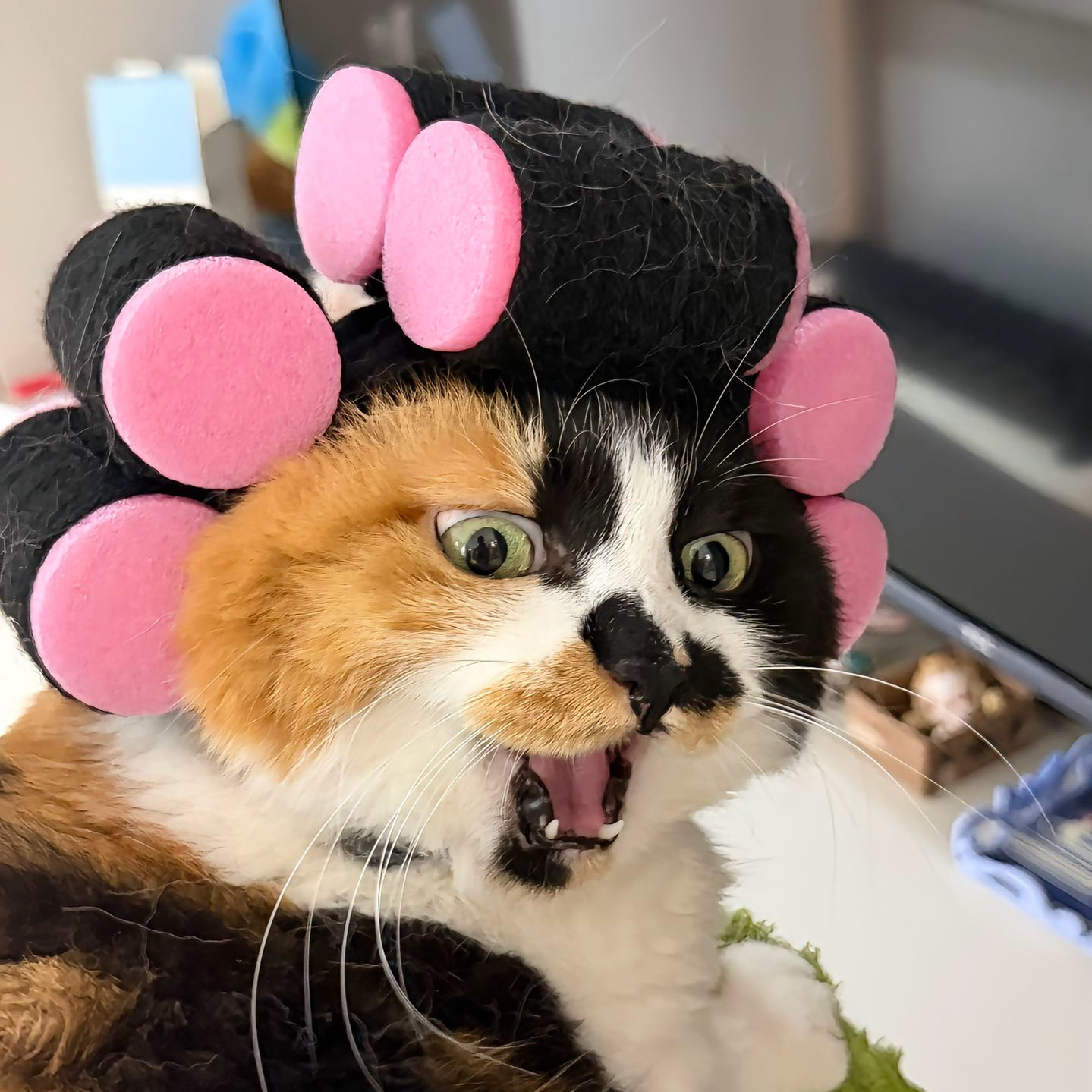 包租婆造型变装马卡龙帽可爱拍照猫咪头套可爱小猪帽子宠物