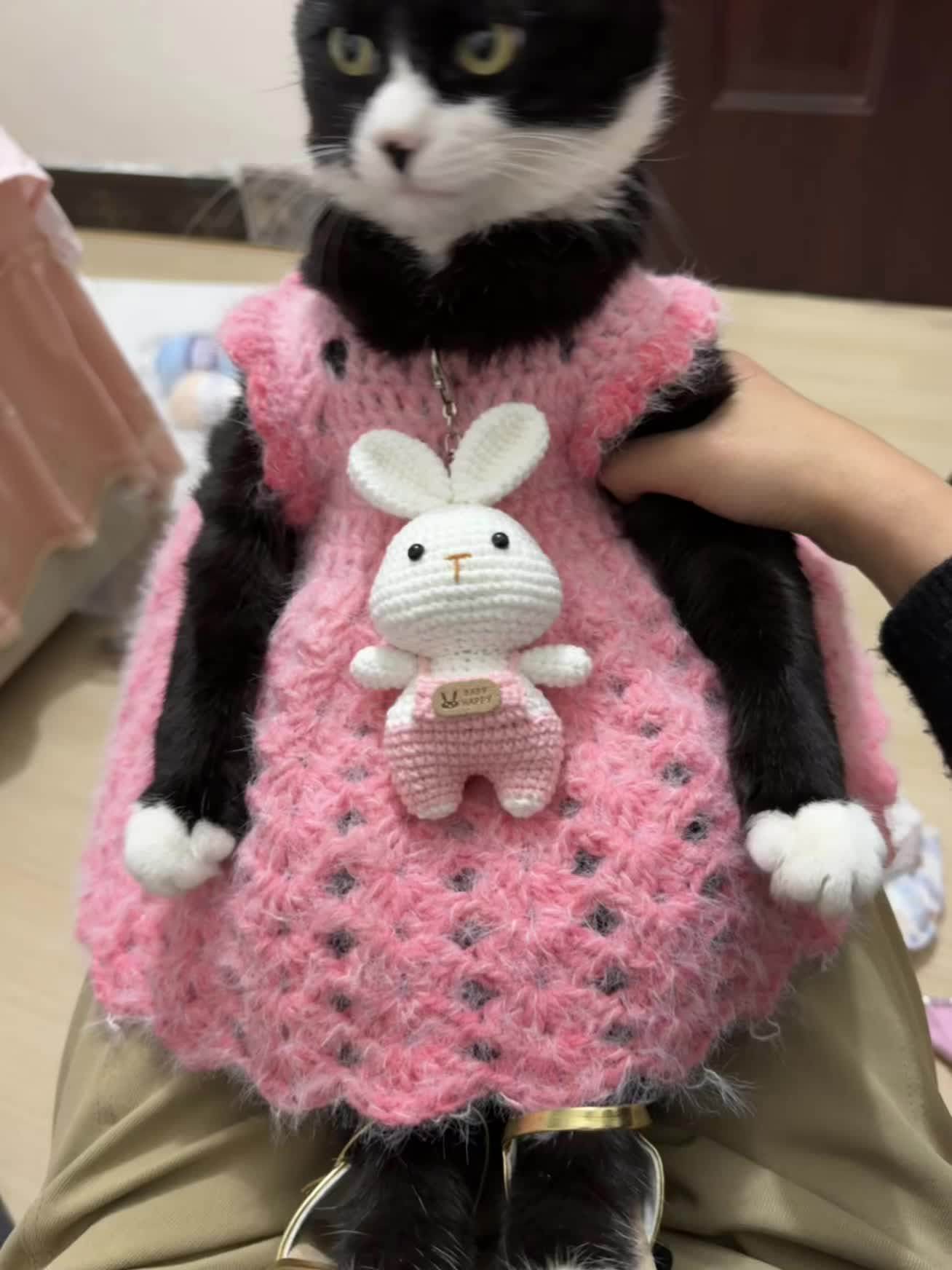 猫咪公主裙手工diy钩织粉色渐变长绒毛线团柔软宠物狗狗衣服