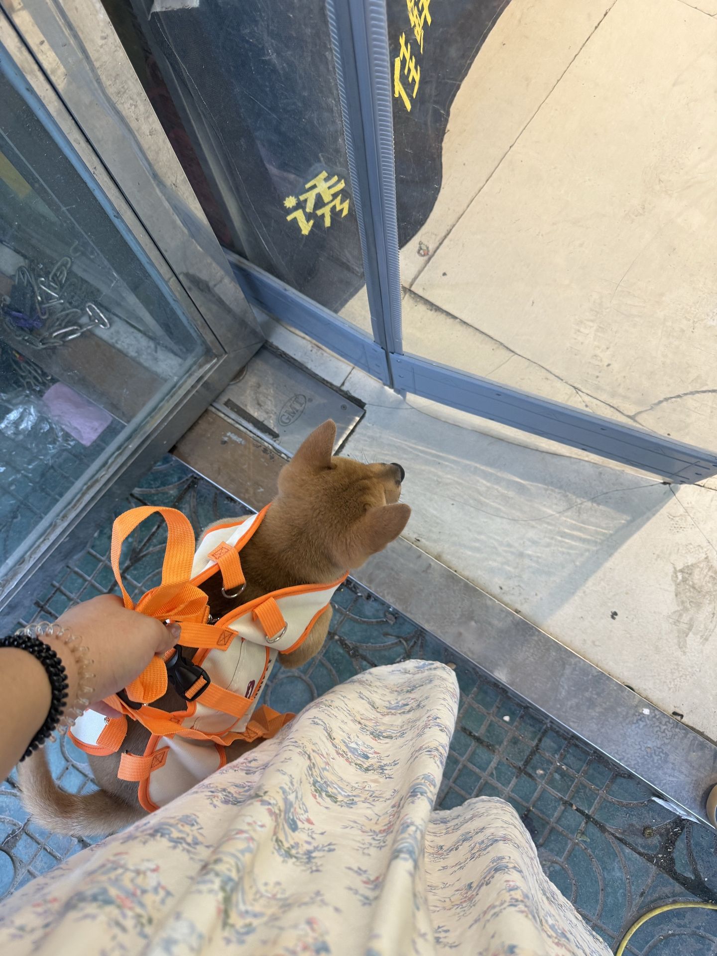 新款宠物背心式背包柴犬柯基泰迪比熊小型犬外出便携式背心式背包