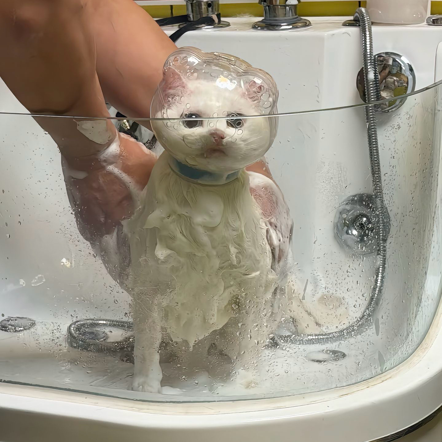 多功能剪指甲洗澡猫头罩嘴套透明头套猫咪头套防咬人神器猫脚套