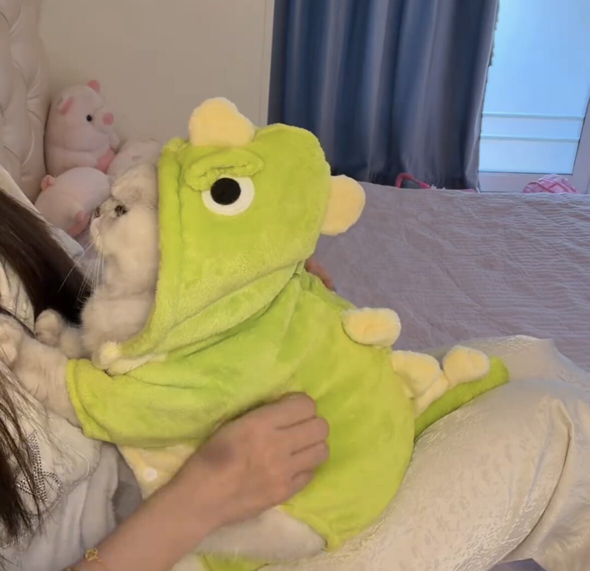 宠物衣服猫咪衣服秋冬款加绒保暖可爱小恐龙搞怪毛绒绒变身装