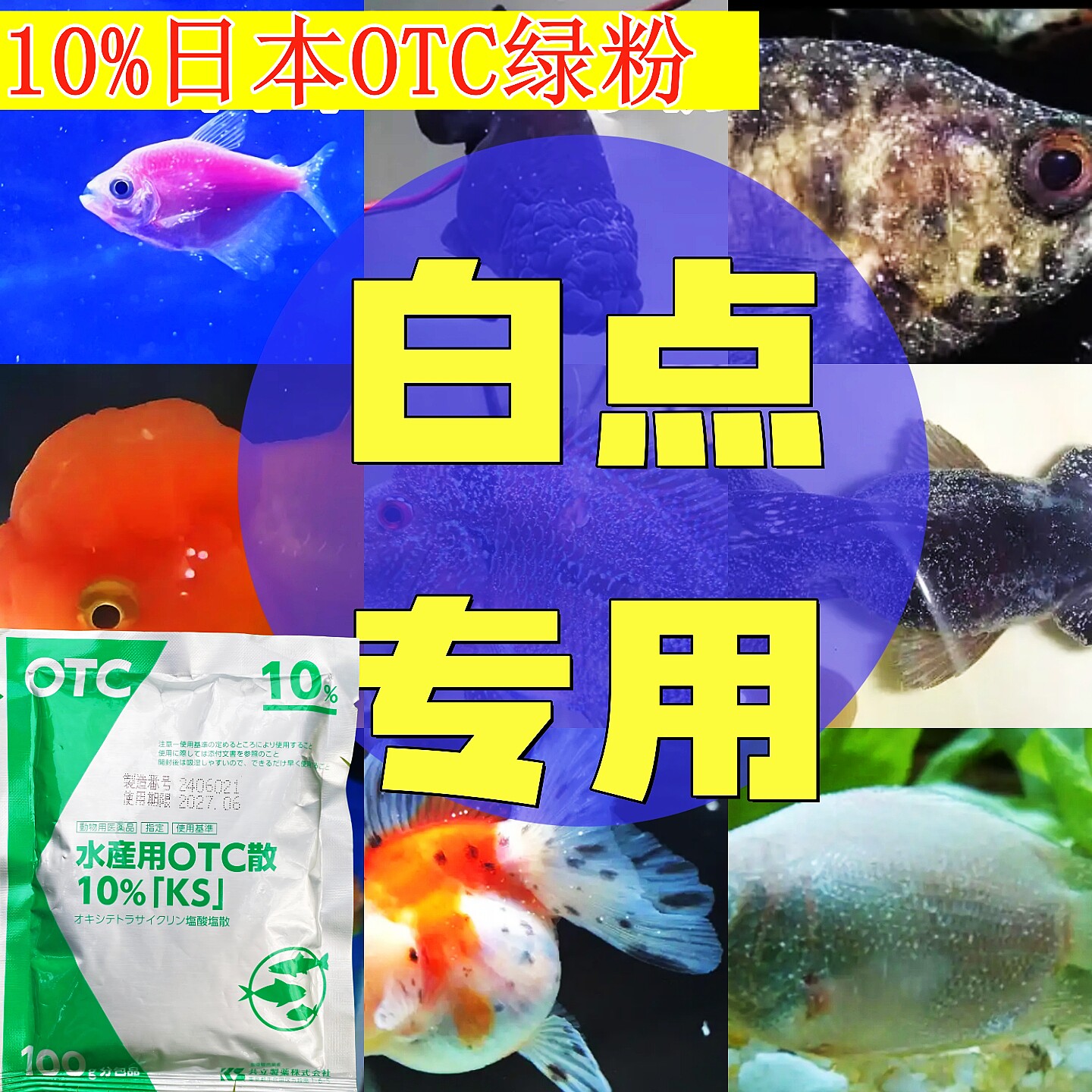 白点专用日本进口绿粉鱼药正品锦鲤观赏鱼水霉白点烂菌腮特效鱼池