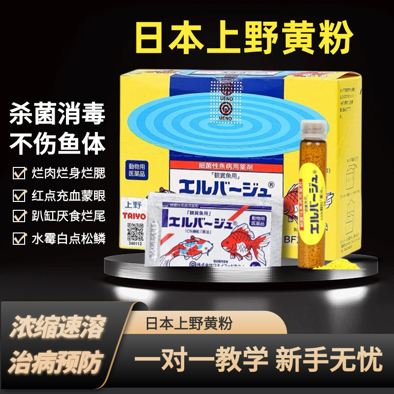 日本进口上野黄粉斗鱼金烂鳍锦鲤身烂肉杀菌鱼药万能疾病特效治疗