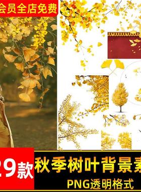 唯美手绘秋季黄色银杏树叶子落叶PNG免扣图片后期ps背景装饰素材