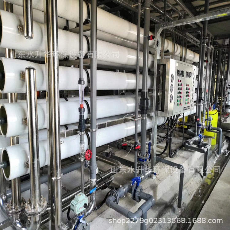 大型工业反渗透设备0.5-50吨纯净水设备养殖用水单双RO纯水水处理