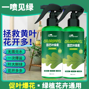 植物营养液花卉绿植通用叶绿素促花黄叶变绿促生长盆栽叶片护理剂