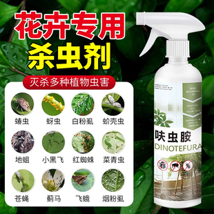 杀虫剂花卉植物室内通用喷雾花草蚜虫月季害虫吡虫啉除虫药剂专用