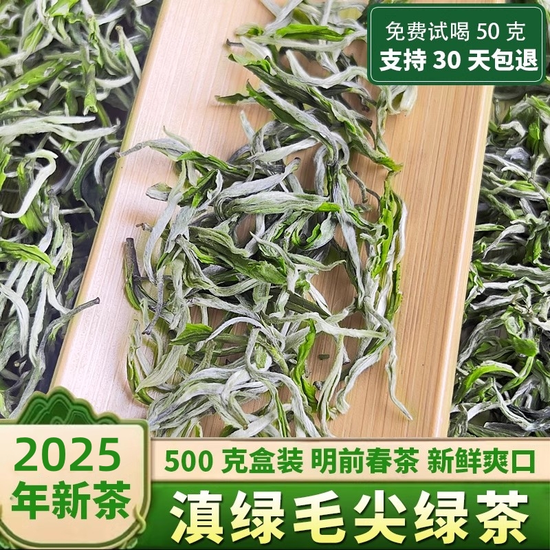 云南绿茶毛尖春茶2025新茶特级滇绿银丝茶叶浓香耐泡高山绿茶250g