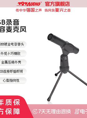 797AUDIO/七九七音响D-1手机录音麦克风/USB电容录音话筒直播设备