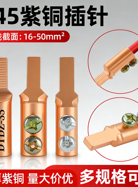 国标紫铜DTDZ免压插针电表鸭嘴断路器线鼻子C45铜线接线端子平方