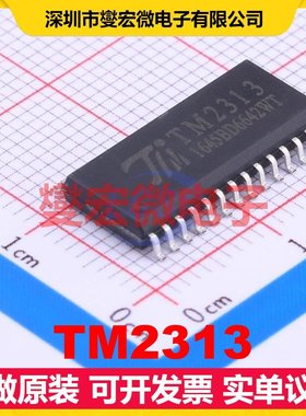 TM2313 SOIC-28-300mil 音频接口芯片IC