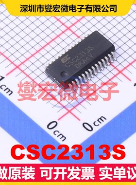 CSC2313S SSOP-28-150mil 音频接口芯片IC