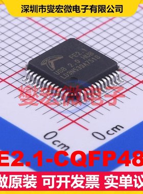 FE2.1-CQFP48A LQFP-48(7x7) USB转换芯片IC