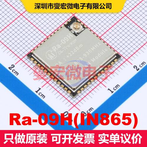 Ra-09H(IN865) SMD,18x18mm 射频收发器模块和调制解调器 射频