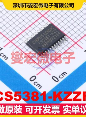 CS5381-KZZR TSSOP-24 音频接口芯片IC