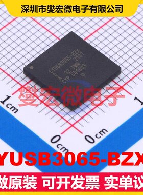 CYUSB3065-BZXC LFBGA-121 USB转换芯片IC