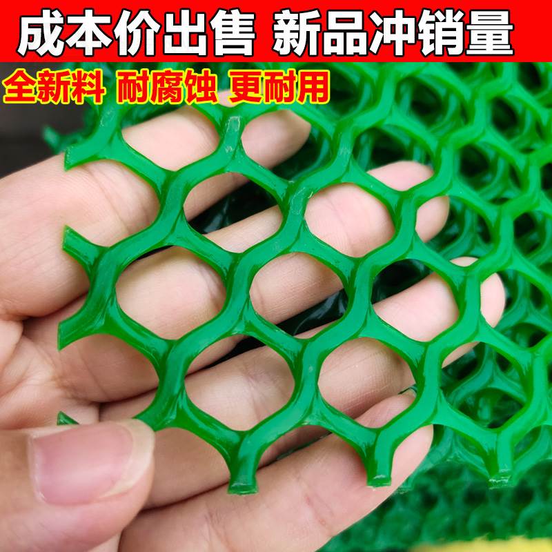 绿色塑料平网格防护养鸡围栏家禽养殖胶网小鸡鸭鹅苗垫网漏粪网片