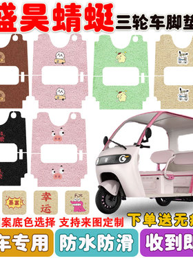 盛昊蜻蜓电动三轮车脚垫SH1000DZK-18D丝圈防水防滑耐磨耐脏定制