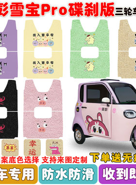 适用金彭雪宝pro碟刹版电动三轮车脚垫JP1000DZK-4P丝圈防水脚垫