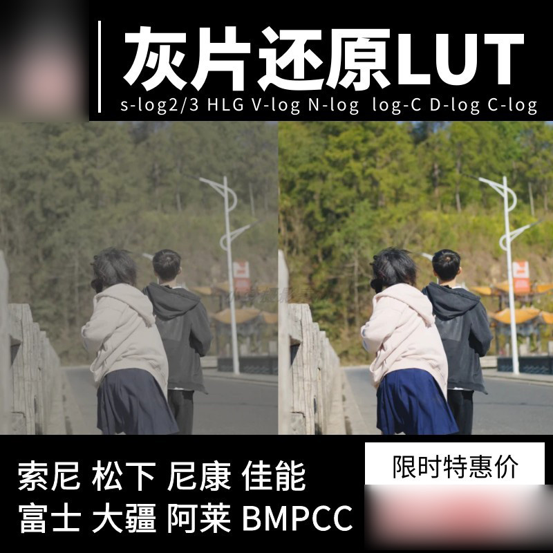 灰片还原lut索尼佳能大疆松下富士尼康阿莱HLGC-logD-Logslog123