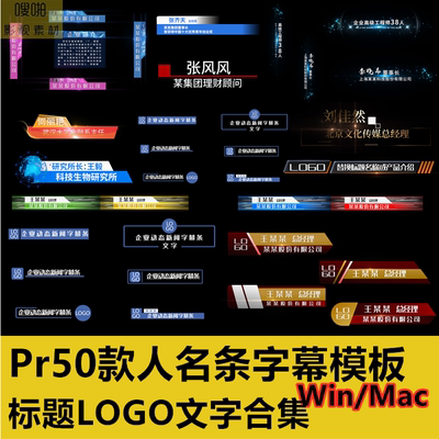 Pr模板50款人名条字幕标题logo视频动态文字人物介绍电视栏职位