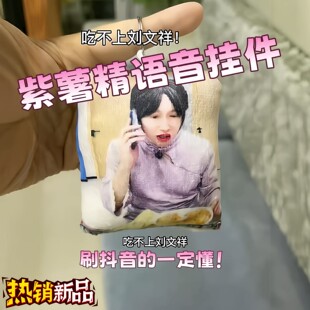 紫薯精语音挂件按压发声吃不上刘文祥毛都没有网络热梗表情包包挂
