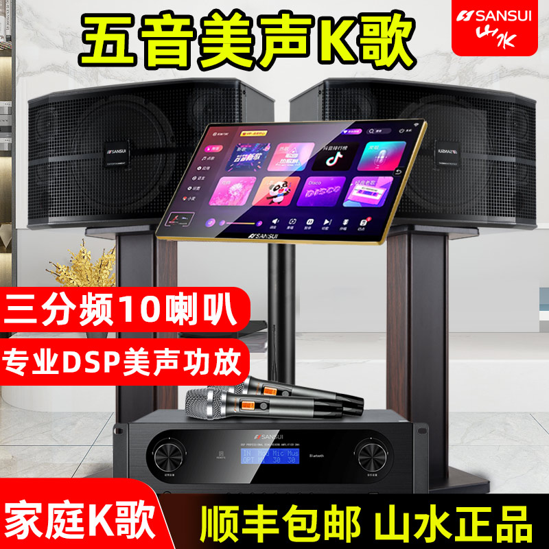 山水内置DSP美声卡拉OK会议专业