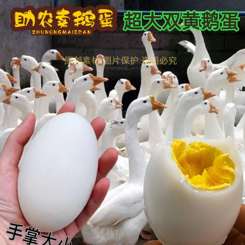 140-160克12枚鹅蛋新鲜农家散养孕妇纯去胎毒土鹅蛋大超大个包邮