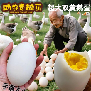 140-160克12枚鹅蛋新鲜农家散养孕妇纯去胎毒土鹅蛋大超大个包邮