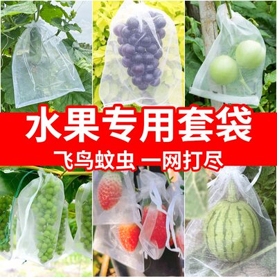 子晗的花园水果套袋防虫防鸟神器