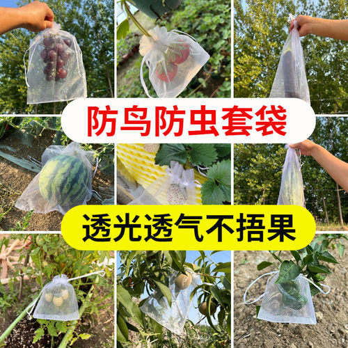 水果套袋葡萄无花果防虫防鸟网袋