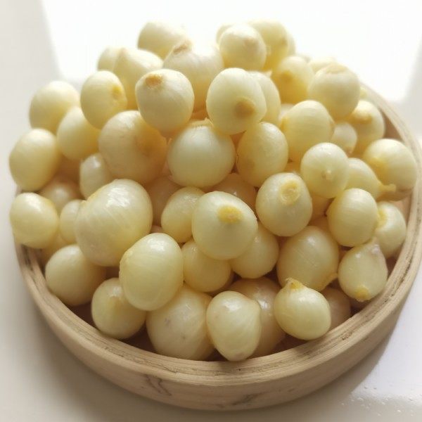 新鲜野葱葱头薤白苦藠小根蒜