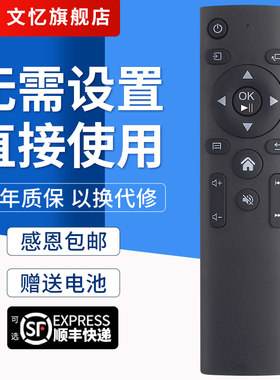 文忆适用于瑞格尔投影机遥控器