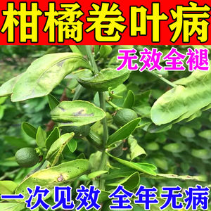 桔子树卷叶病柑橘黄龙药专用杀菌剂黄叶枯萎保花保果药病虫害防治