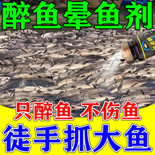 醉鱼药特效晕鱼药不伤鱼神器鱼用麻醉捕鱼专用缺氧药封氧剂醉鱼灵