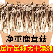 完整鹿茸菇干货新鲜鹿茸菌菇农家无硫鹿耳菇煲汤批发 净重发货