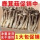 鹿茸菇净重无干燥剂鹿茸菇菌菇干货煲汤无熏硫炖鸡炖汤批发特价