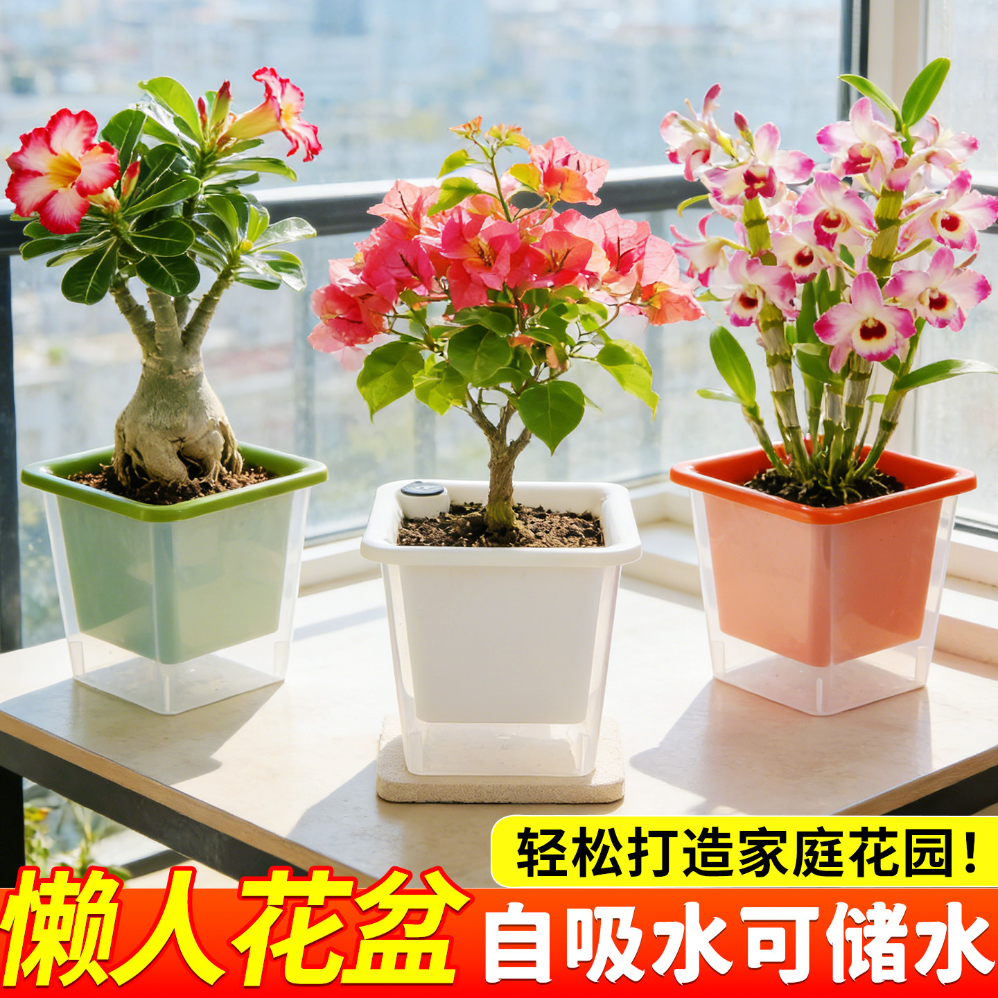 全透明水培盆懒人自动吸水