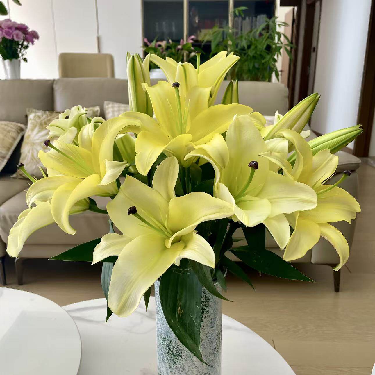 黄色香水百合鲜花插花云南基地直发客厅摆设供佛水养真花氛围装饰