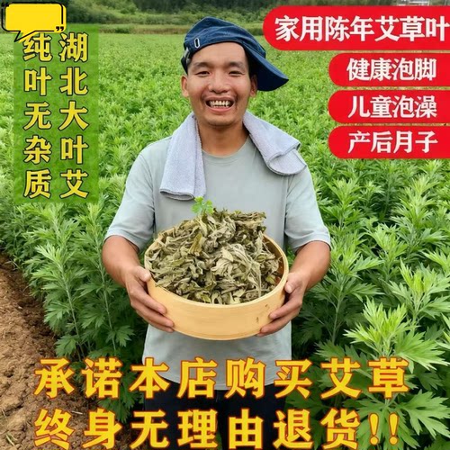 艾叶艾草泡脚包干艾叶草