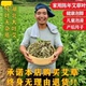 湖北艾叶艾草泡脚包干艾叶草陈年艾叶家用坐月子发汗产后儿童泡澡