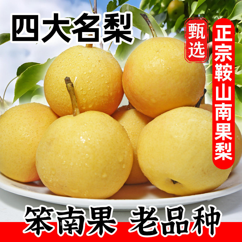 正宗鞍山海城南果梨新鲜水果当季软糯香甜