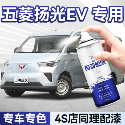 扬光ev自喷漆极地白山海蓝灰油漆