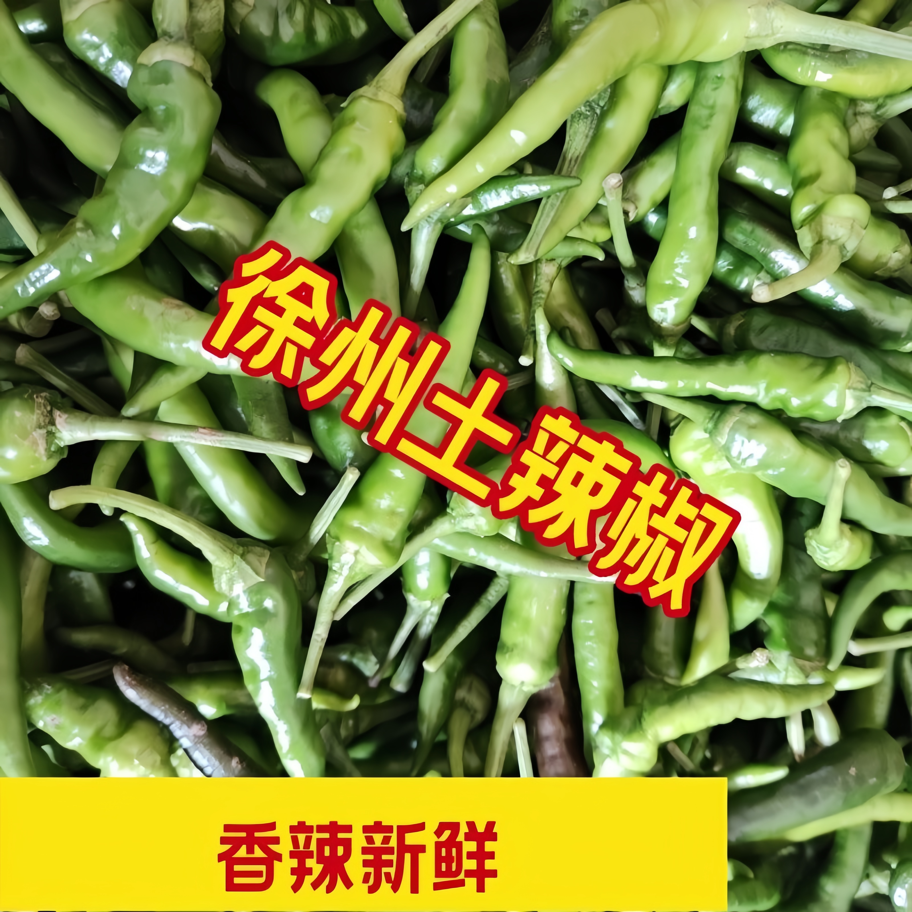 邳州本地椒辣椒新鲜现摘青辣椒农家自种薄皮小尖椒泡椒剁椒鲜辣椒